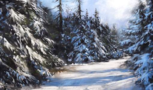 After Work: Durch den Winterwald