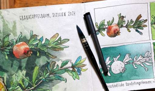 Botanische Aquarelle – locker und einfach!